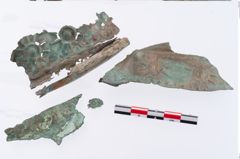 Foto von Bronzebreitrandschüssel (NHMW-PRAE-002321)